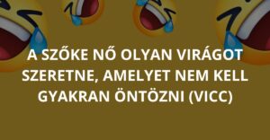 A szőke nő olyan virágot szeretne, amelyet nem kell gyakran öntözni (Vicc)