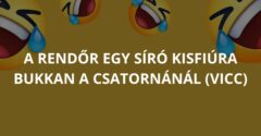 A rendőr egy síró kisfiúra bukkan a csatornánál (Vicc)