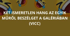 Két ismeretlen hang az egyik műről beszélget a galériában (Vicc)