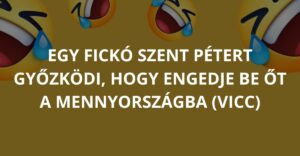 Egy fickó Szent Pétert győzködi, hogy engedje be őt a mennyországba (Vicc)