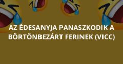 Az édesanyja panaszkodik a börtönbezárt Ferinek (Vicc)