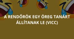 A rendőrök egy öreg tanárt állítanak le (Vicc)