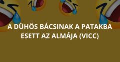 A dühös bácsinak a patakba esett az almája (Vicc)