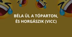 Béla ül a tóparton, és horgászik (Vicc)