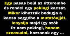 A férfi és a pekingi kacsák (Vicc)