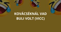 Kovácséknál vad buli volt (Vicc)