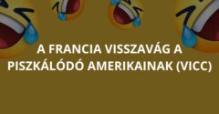 A francia visszavág a piszkálódó amerikainak (Vicc)