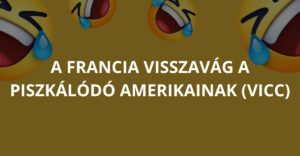 A francia visszavág a piszkálódó amerikainak (Vicc)