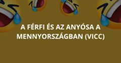 A férfi és az anyósa a mennyországban (Vicc)