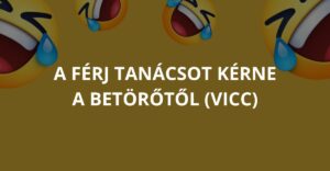 A férj tanácsot kérne a betörőtől (Vicc)