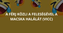 A férj közli a feleségével a macska halálát (Vicc)