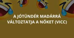 A jótündér madárrá változtatja a nőket (Vicc)