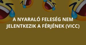 A nyaraló feleség nem jelentkezik a férjének (Vicc)