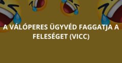 A válóperes ügyvéd faggatja a feleséget (Vicc)