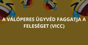 A válóperes ügyvéd faggatja a feleséget (Vicc)