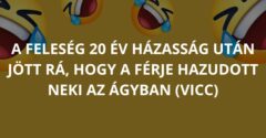 A feleség 20 év házasság után jött rá, hogy a férje hazudott neki az ágyban (Vicc)