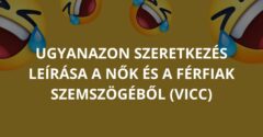 Ugyanazon szeretkezés leírása a nők és a férfiak szemszögéből (Vicc)