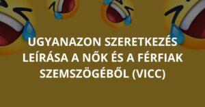 Ugyanazon szeretkezés leírása a nők és a férfiak szemszögéből (Vicc)