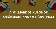 A milliárdos különös örökséget hagy a fiára (Vicc)