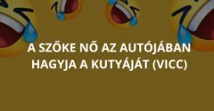 A szőke nő az autójában hagyja a kutyáját (Vicc)