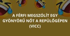 A férfi megszólít egy gyönyörű nőt a repülőgépen (Vicc)