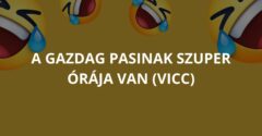 A gazdag pasinak szuper órája van (Vicc)