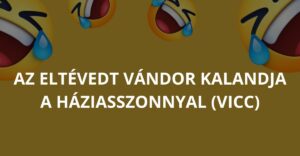 Az eltévedt vándor kalandja a háziasszonnyal (Vicc)