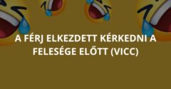 A férj elkezdett kérkedni a felesége előtt (Vicc)