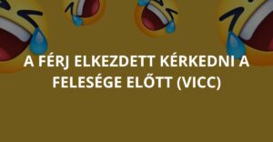 A férj elkezdett kérkedni a felesége előtt (Vicc)