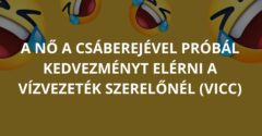 A nő a csáberejével próbál kedvezményt elérni a vízvezeték szerelőnél (Vicc)