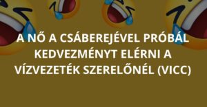 A nő a csáberejével próbál kedvezményt elérni a vízvezeték szerelőnél (Vicc)