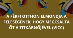 A férfi otthon elmondja a feleségének, hogy megcsalta őt a titkárnőjével (Vicc)