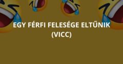 Egy férfi felesége eltűnik (Vicc)