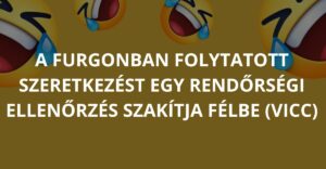 A furgonban folytatott szeretkezést egy rendőrségi ellenőrzés szakítja félbe (Vicc)