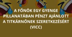 A főnök egy gyenge pillanatában pénzt ajánlott a titkárnőnek a szeretkezésért (Vicc)