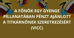 A főnök egy gyenge pillanatában pénzt ajánlott a titkárnőnek a szeretkezésért (Vicc)