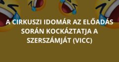 A cirkuszi idomár az előadás során kockáztatja a szerszámját (Vicc)