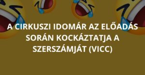 A cirkuszi idomár az előadás során kockáztatja a szerszámját (Vicc)