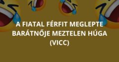 A fiatal férfit meglepte barátnője meztelen húga (Vicc)