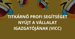 Titkárnő profi segítséget nyújt a vállalat igazgatójának (Vicc)