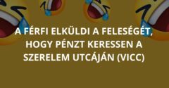 A férfi elküldi a feleségét, hogy pénzt keressen a szerelem utcáján (Vicc)