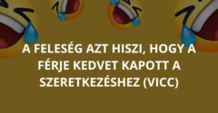 A feleség azt hiszi, hogy a férje kedvet kapott a szeretkezéshez (Vicc)