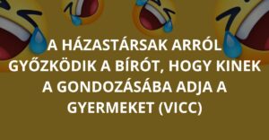 A házastársak arról győzködik a bírót, hogy kinek a gondozásába adja a gyermeket (Vicc)