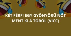 Két férfi egy gyönyörű nőt ment ki a tóból (Vicc)