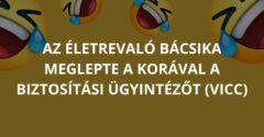 Az életrevaló bácsika meglepte a korával a biztosítási ügyintézőt (Vicc)