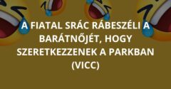 A fiatal srác rábeszéli a barátnőjét, hogy szeretkezzenek a parkban (Vicc)