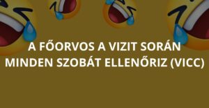 A főorvos a vizit során minden szobát ellenőriz (Vicc)