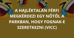 A hajléktalan férfi megkérdezi egy nőtől a parkban, hogy fognak-e szeretkezni (Vicc)