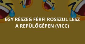 Egy részeg férfi rosszul lesz a repülőgépen (Vicc)