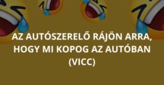 Az autószerelő rájön arra, hogy mi kopog az autóban (Vicc)